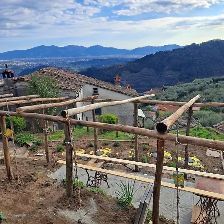 Podere Il Leccio