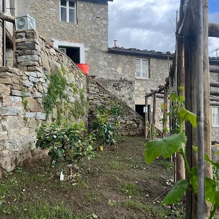Podere Il Leccio