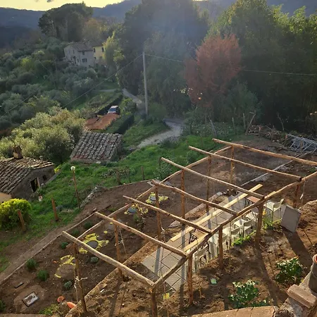 Villa Podere Il Leccio *