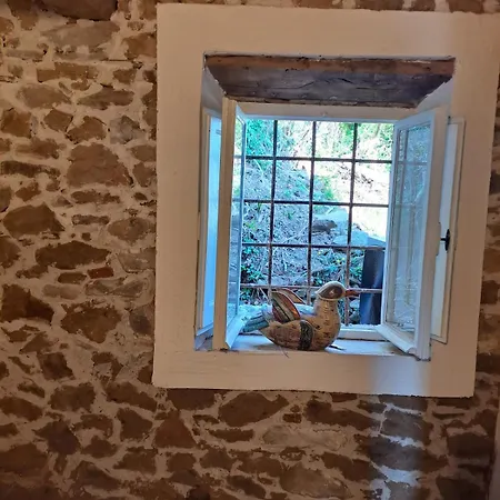 Podere Il Leccio * Aquilea