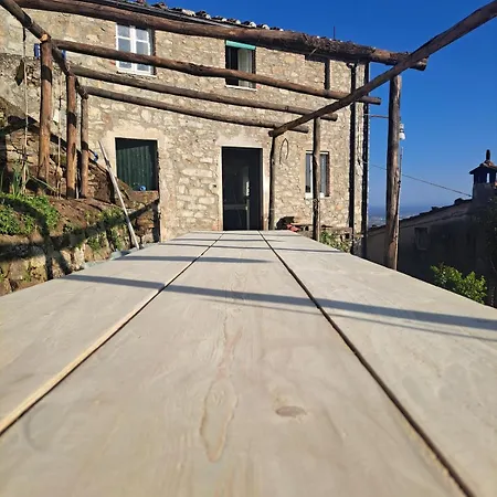 Podere Il Leccio *